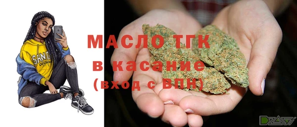 винт Пересвет